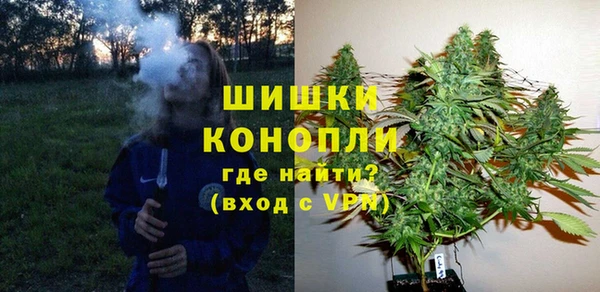 бошки Аркадак
