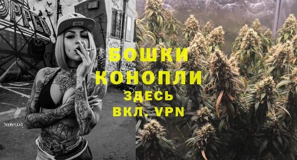 бошки Аркадак