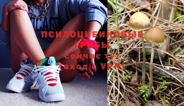 бошки Аркадак