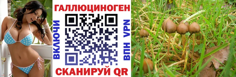 Псилоцибиновые грибы MAGIC MUSHROOMS  Инта 